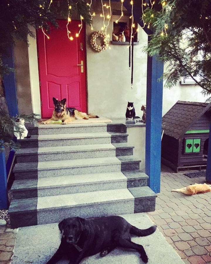 Cat Stone Villa Pisz Eksteriør bilde