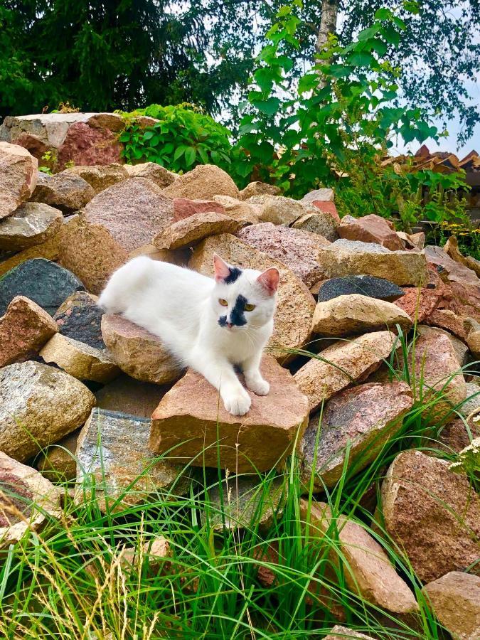 Cat Stone Villa Pisz Eksteriør bilde