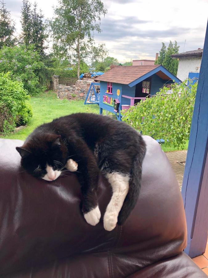 Cat Stone Villa Pisz Eksteriør bilde