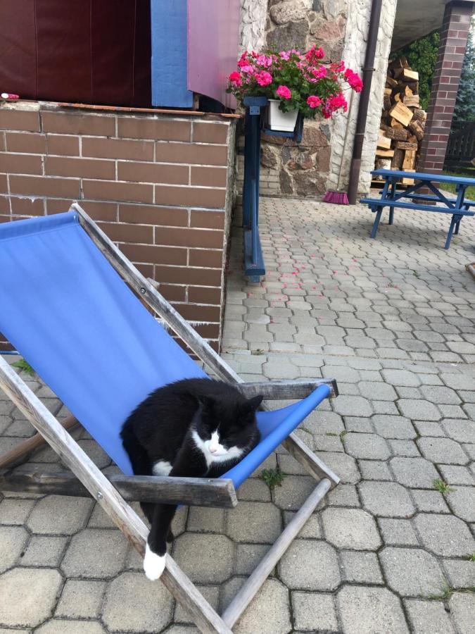 Cat Stone Villa Pisz Eksteriør bilde