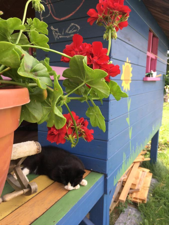 Cat Stone Villa Pisz Eksteriør bilde