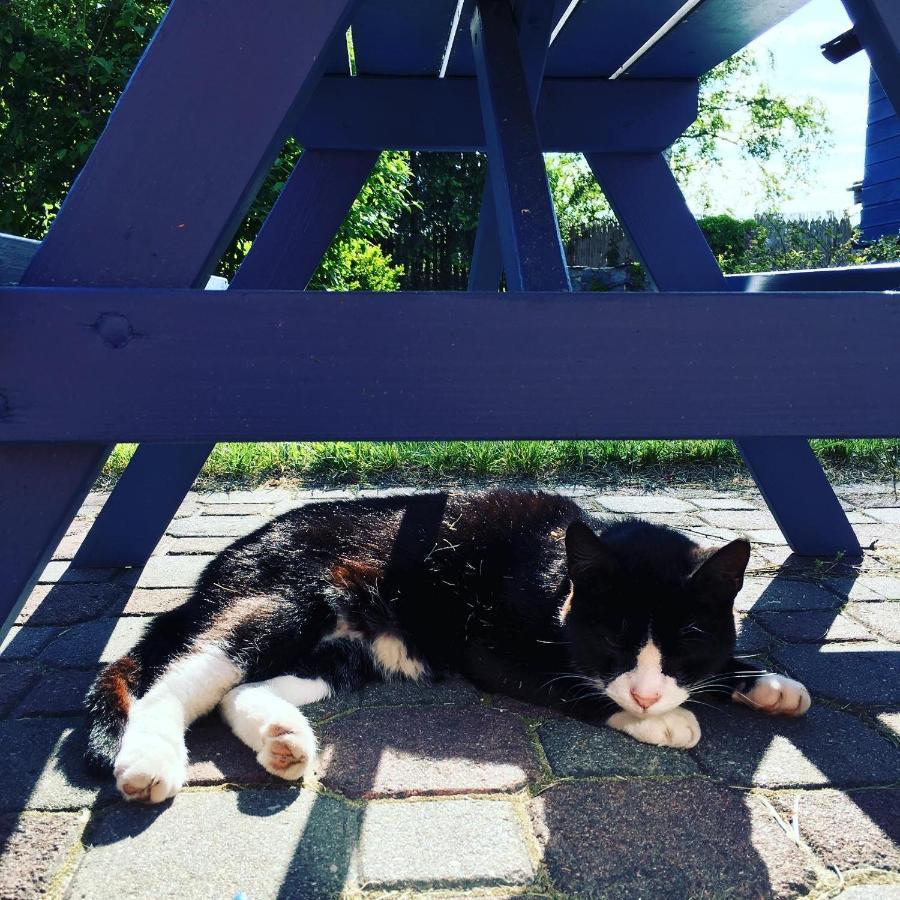 Cat Stone Villa Pisz Eksteriør bilde